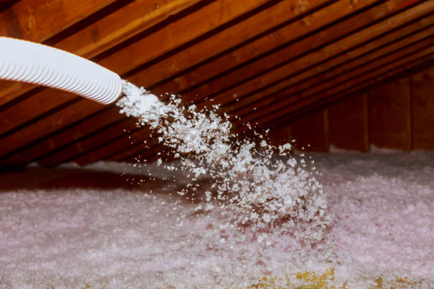 Best Best Insulation Companies  in Linn, MO