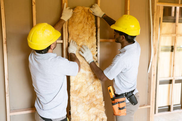 Best Home Insulation Services  in Linn, MO