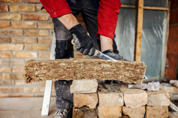 Best Attic Insulation Installation  in Linn, MO