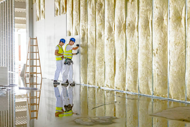 Best Soundproof Insulation Installation  in Linn, MO